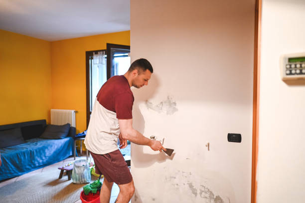 Best Residential Mold Removal  in San Juan Pistrano, CA